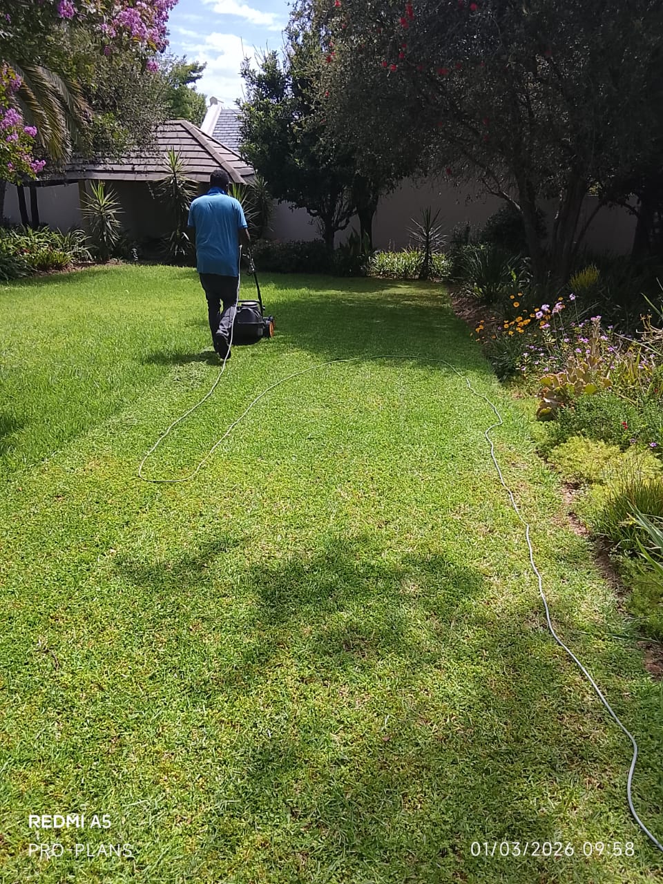 Garden service project photo