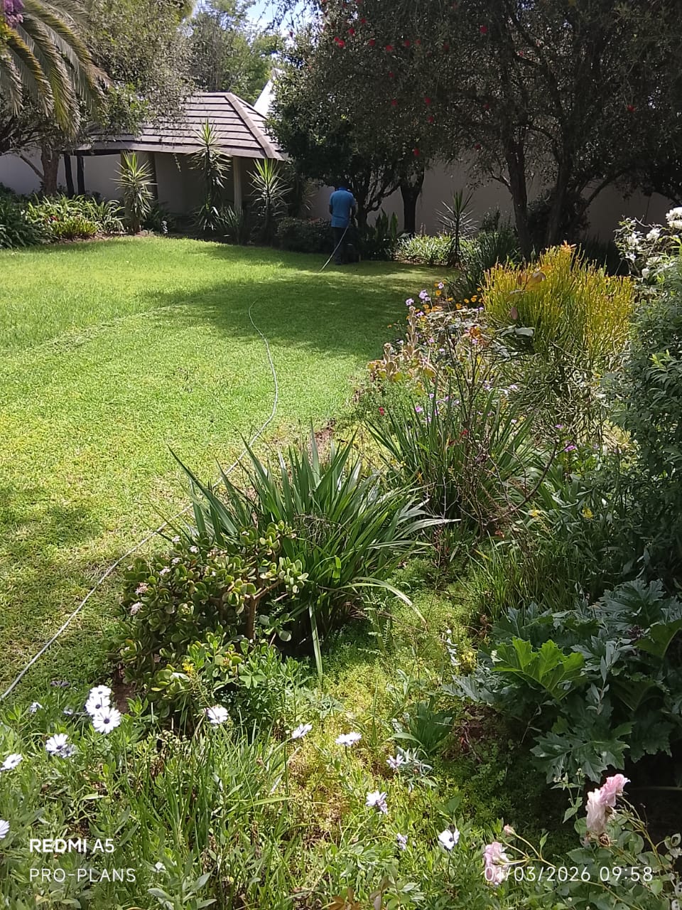 Garden service project photo