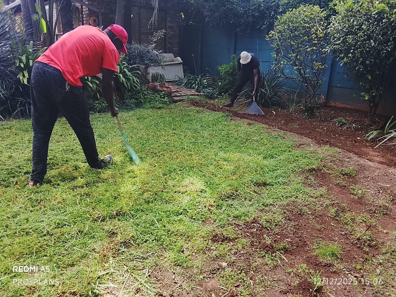 Garden service project photo