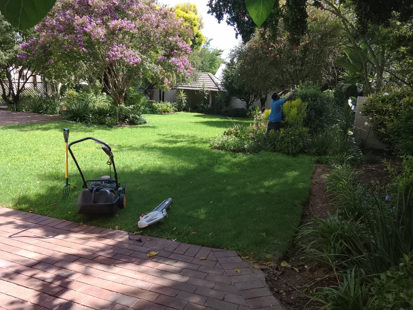 Garden service project photo