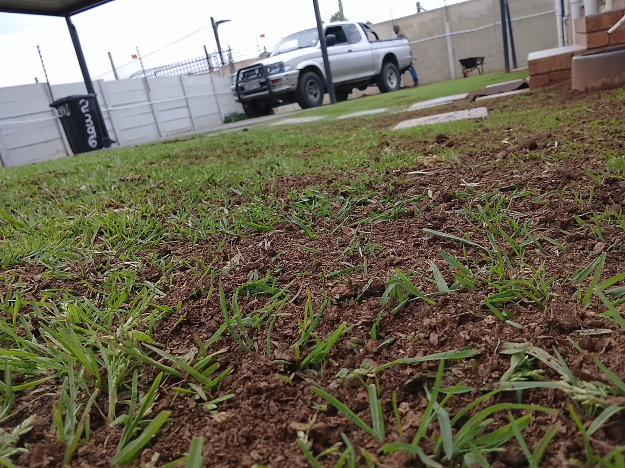 Garden service project photo