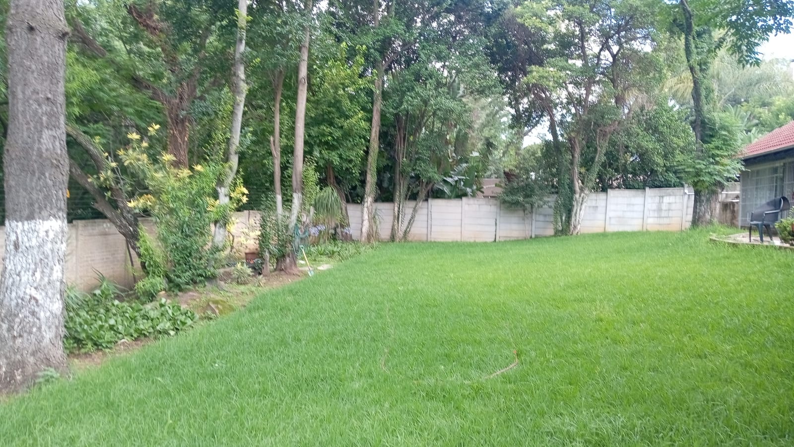 Garden service project photo