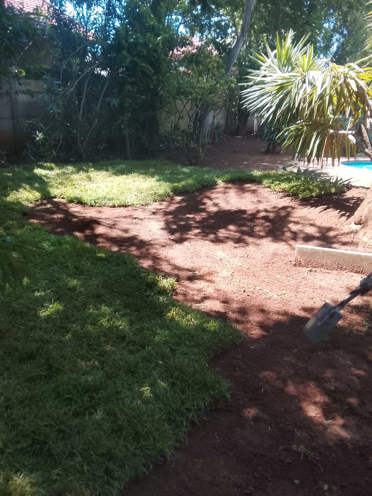 Instant lawn project photo