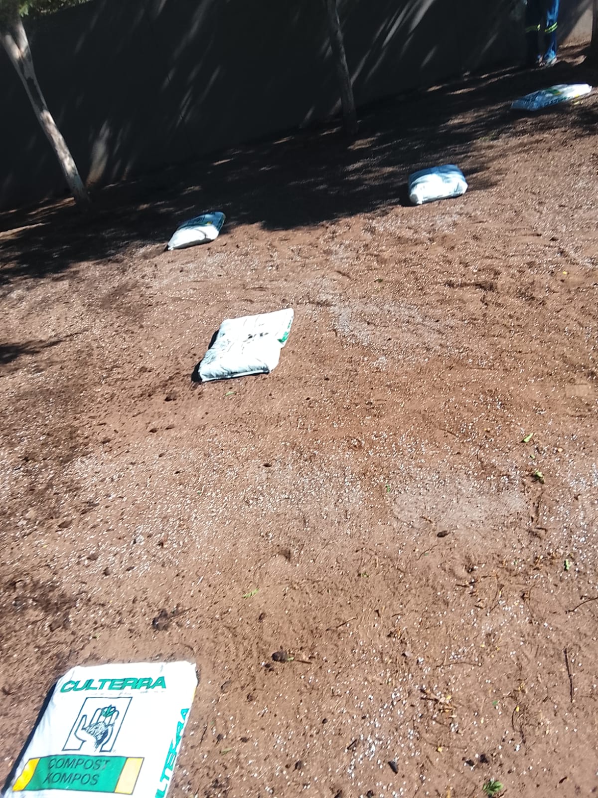 Instant lawn project photo