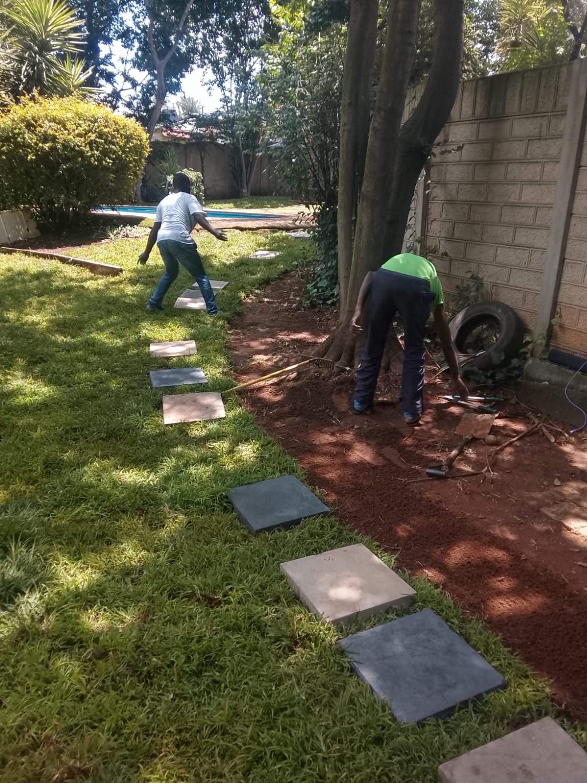 Instant lawn project photo