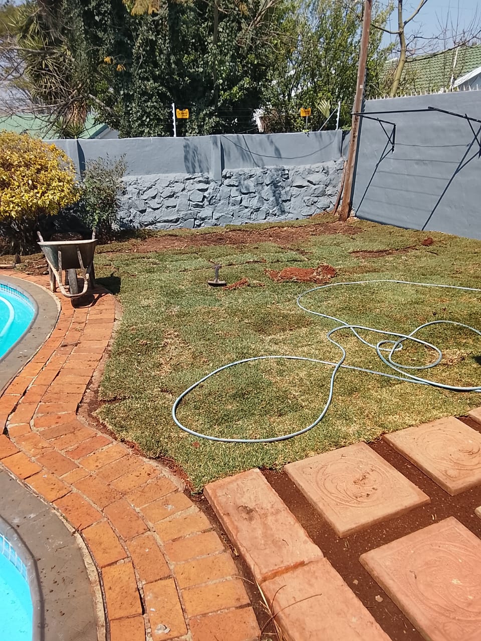 Instant lawn project photo