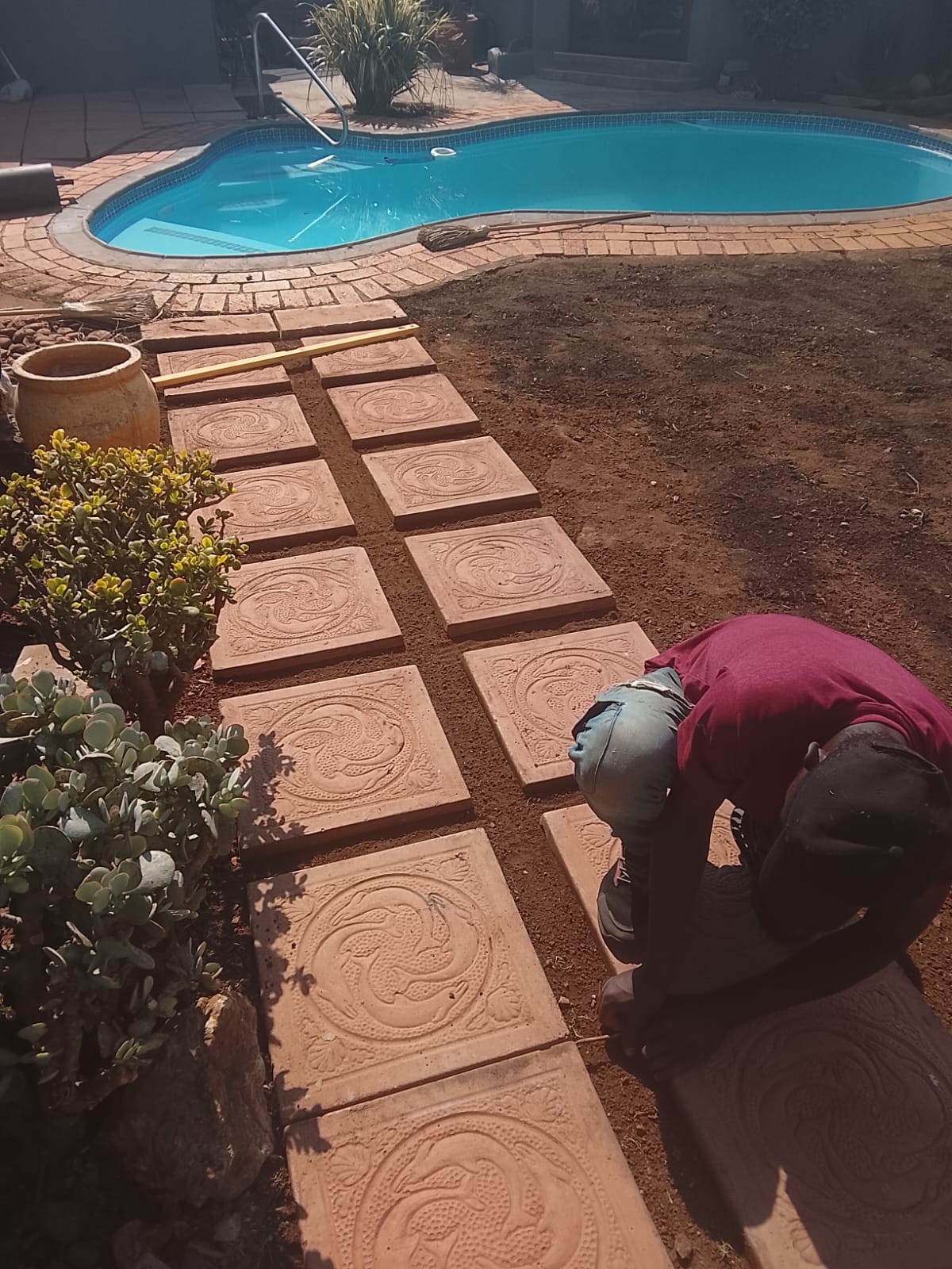 Instant lawn project photo