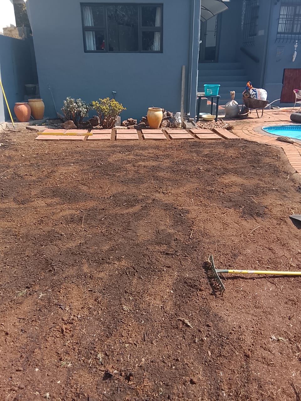 Instant lawn project photo