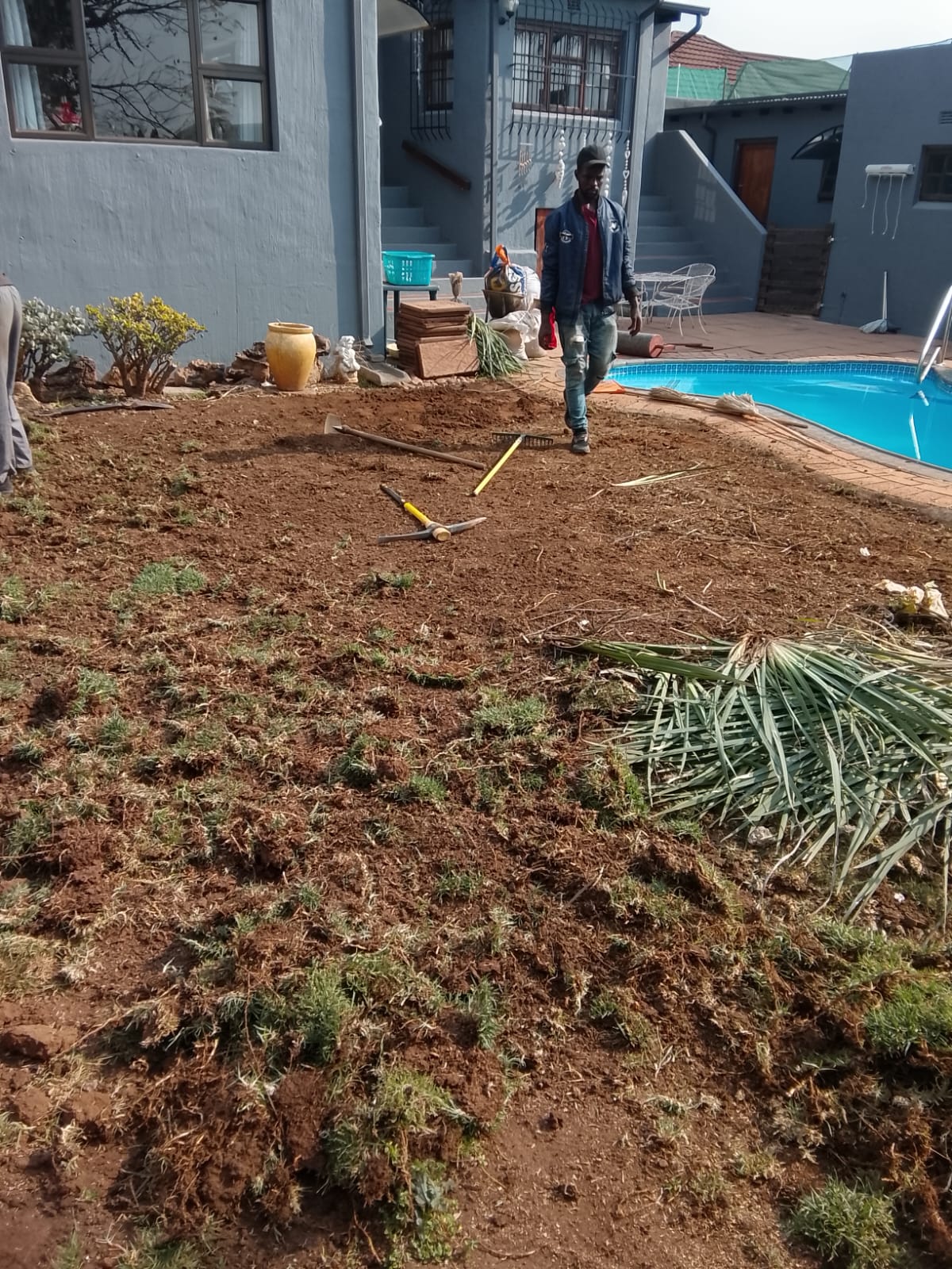Instant lawn project photo