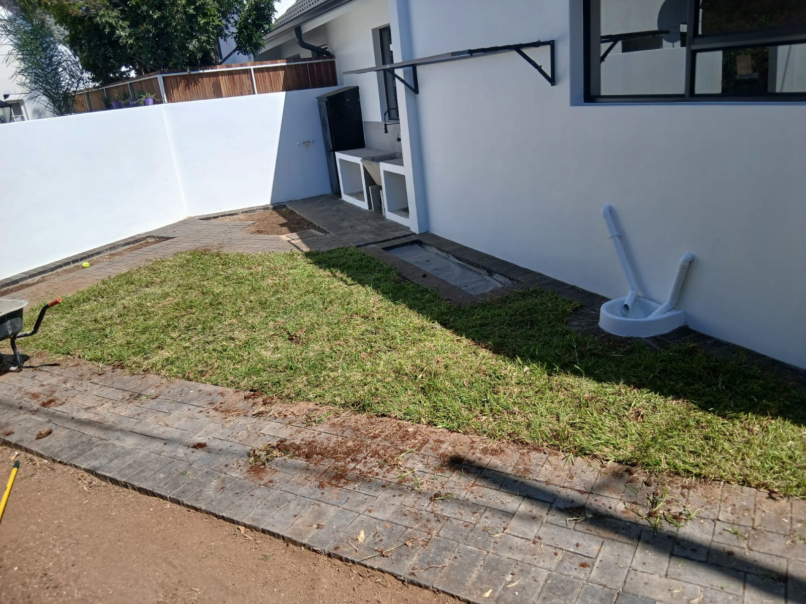 Instant lawn project photo