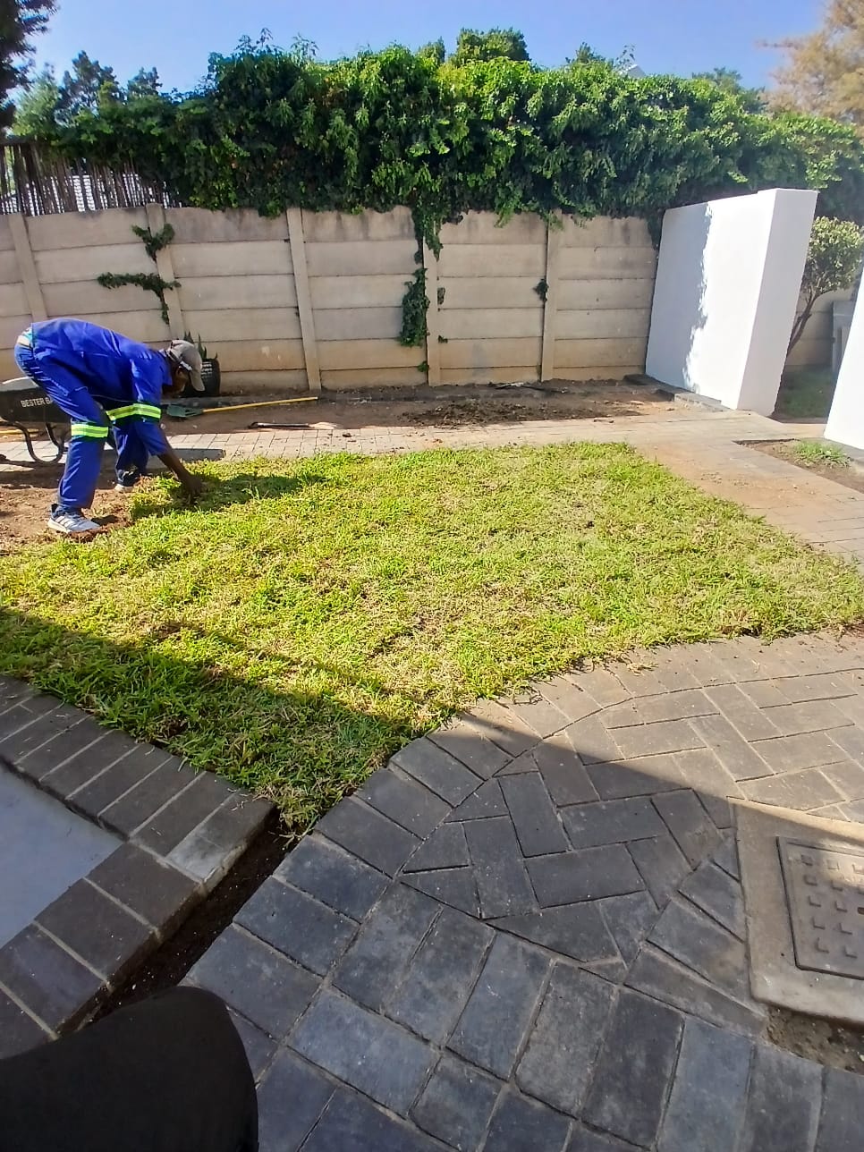Instant lawn project photo