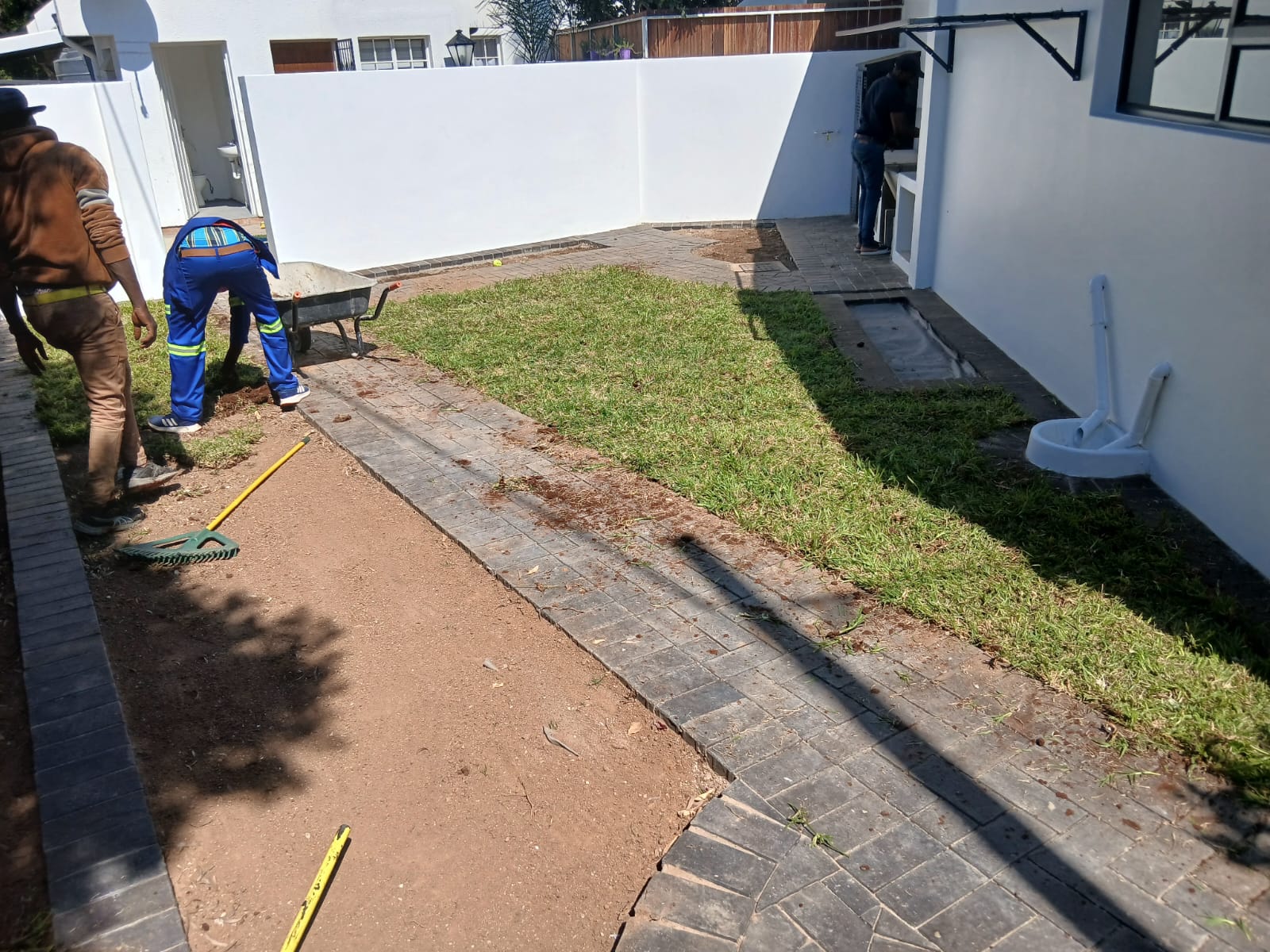 Instant lawn project photo