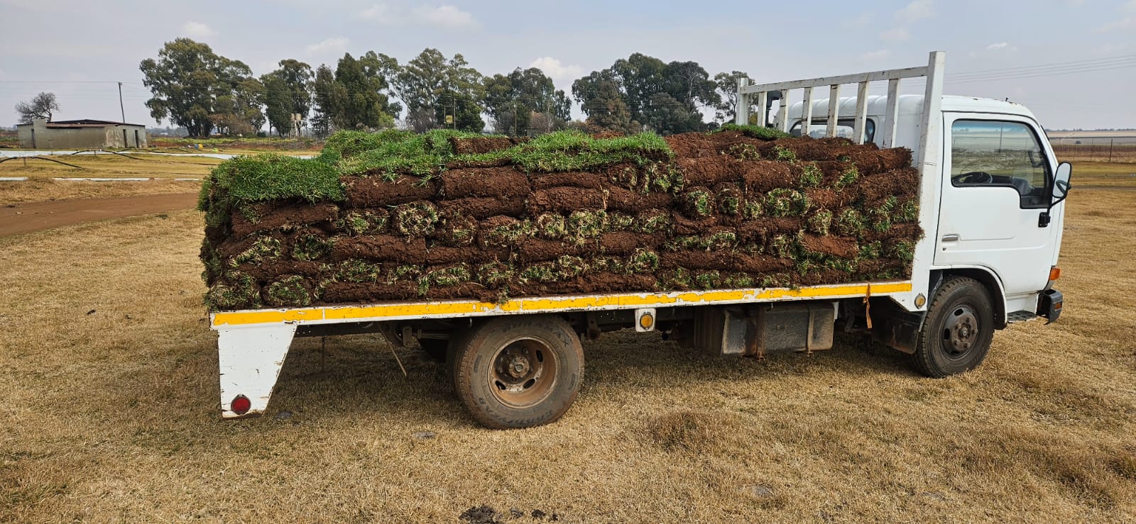 Instant lawn project photo