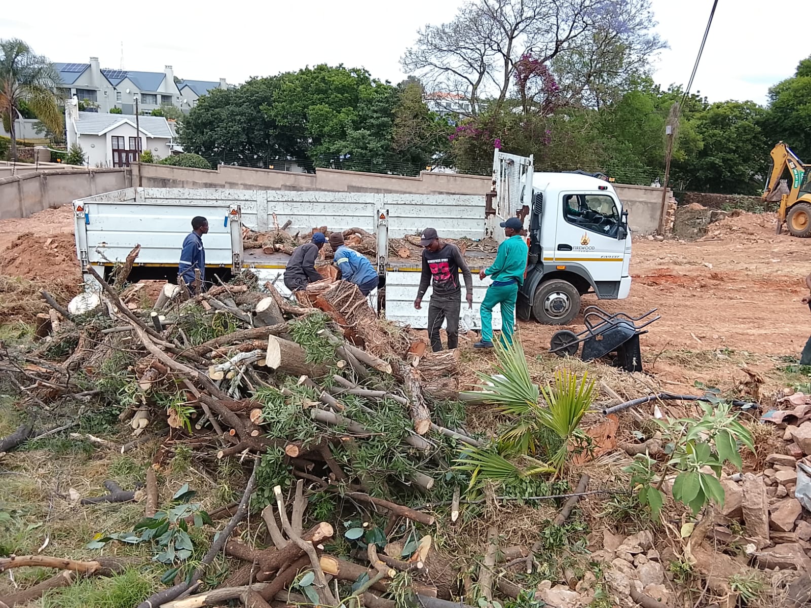 Tree felling project photo